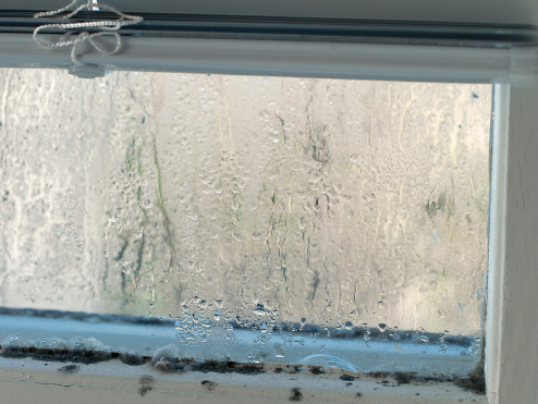 Condensation build-up on windows causing mould