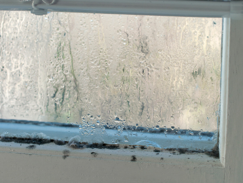 Condensation build-up on windows causing mould