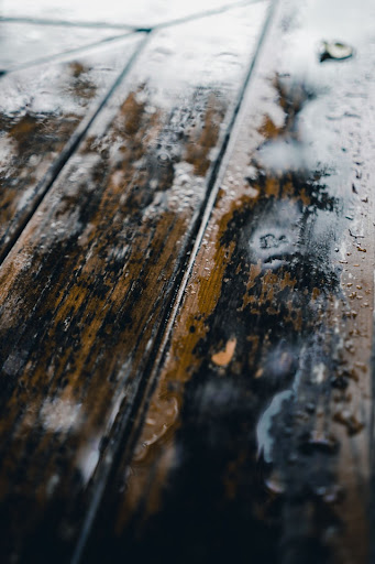 Damp Wood