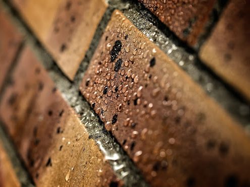 Damp Bricks