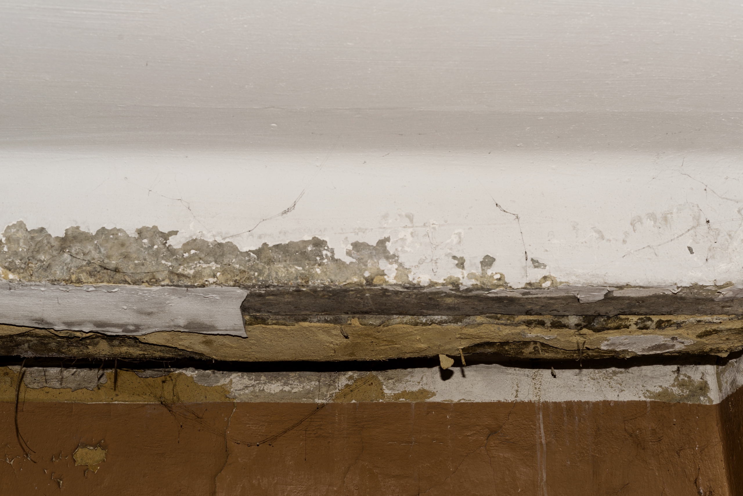 Condensation in Loft: Causes, Prevention, and Solutions